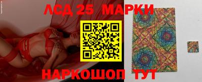 Альфа ПВП Ставрополь