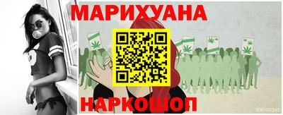 Альфа ПВП Ставрополь