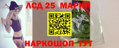 Альфа ПВП Ставрополь