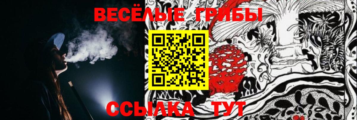 Псилоцибиновые грибы Cubensis  Вход с VPN  Псилоцибиновые грибы мухоморы  хочу   Волжск 