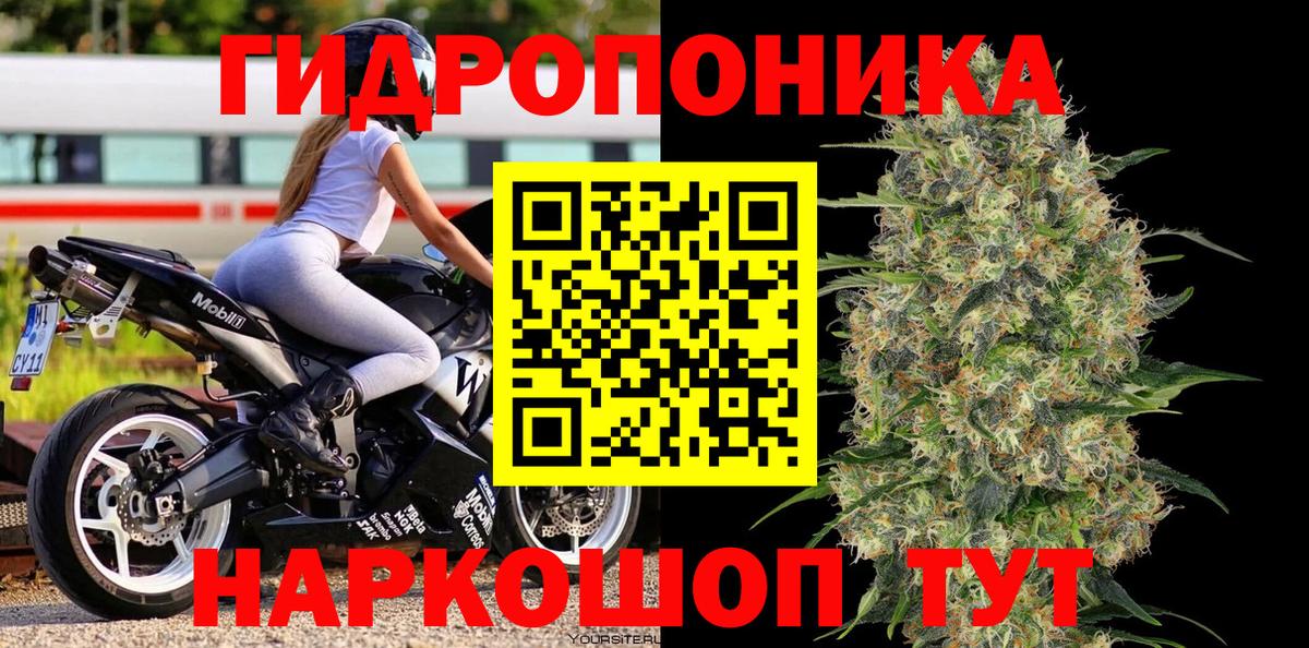 Шишки марихуана Amnesia Волжск